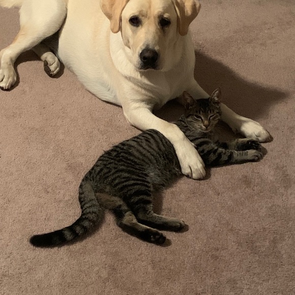 Meet your Posher, Pam - Picture 2 of 2